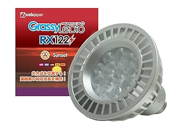 Amazon | ボルクスジャパン Grassy LeDio RX122